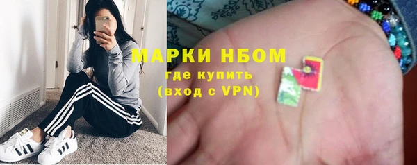 шишки Заволжье