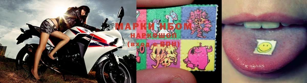 бошки Ельня