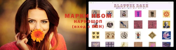 бошки Ельня