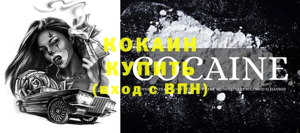 бошки Ельня