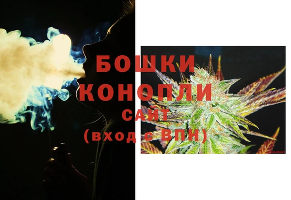 бошки Елабуга